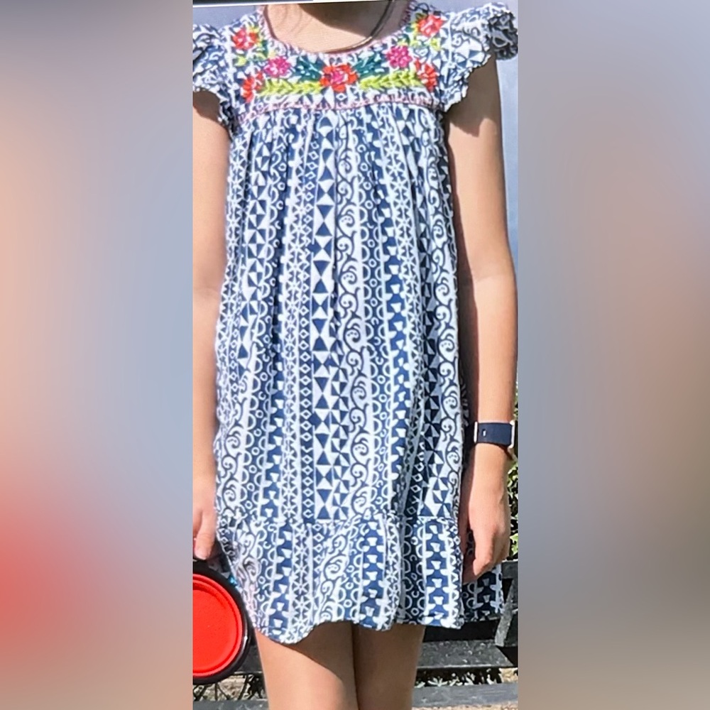 Roller Rabbit Blue and White Sundress with Flutter Sleeves
